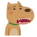 犬の歯の写真